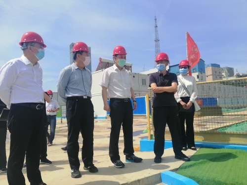 市国资委张军卫主任到地铁新百站,北国超市新百店和中央商务区检查"