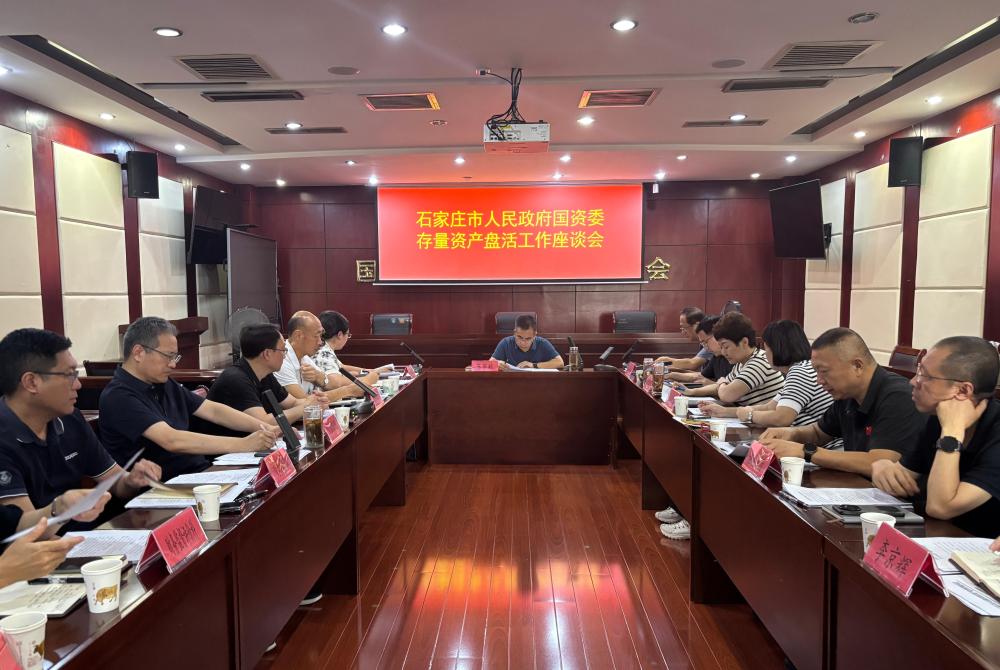 市政府国资委召开存量资产盘活工作座谈会